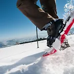 דירה 5 Alpe Maritima Seeblick-bergkulisse By Interhome