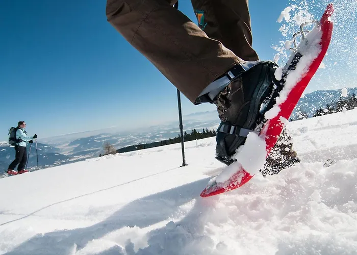 Apartament 5 Alpe Maritima Seeblick-bergkulisse By Interhome